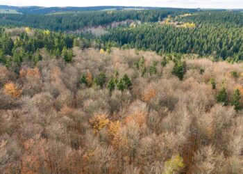 klimaschutz-kostet-–-zu-wenig-klimaschutz-kostet-mehr