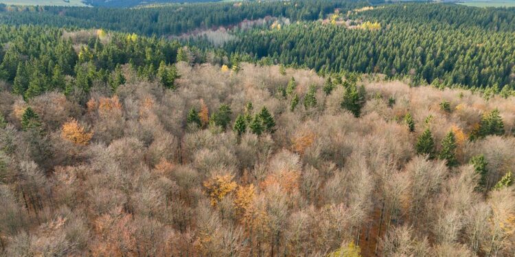 klimaschutz-kostet-–-zu-wenig-klimaschutz-kostet-mehr