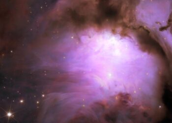 das-sind-die-neuen-bilder-vom-weltraumteleskop-euclid