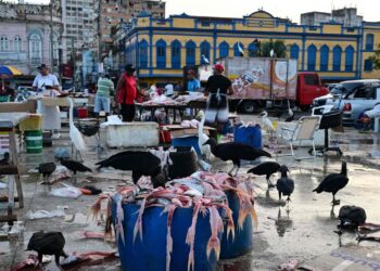 belem:-chaotisch,-sympathisch-–-und-voller-widersprueche