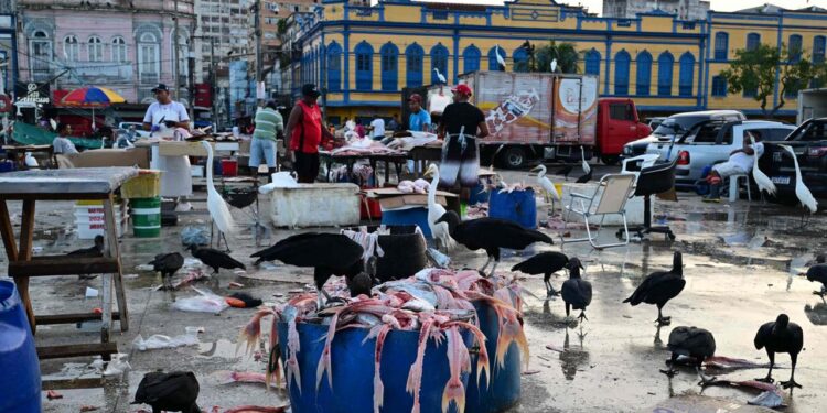 belem:-chaotisch,-sympathisch-–-und-voller-widersprueche