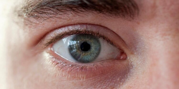 warum-blinzeln-erholung-fuer-die-augen-ist