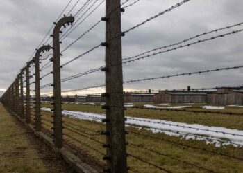 nach-kritik:-auktion-in-nrw-mit-holocaust-dokumenten-abgesagt