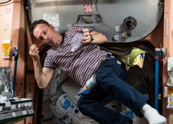 forschung-im-weltraum“:-ein-besseres-verstaendnis-fuer-krankheiten-erlangen“