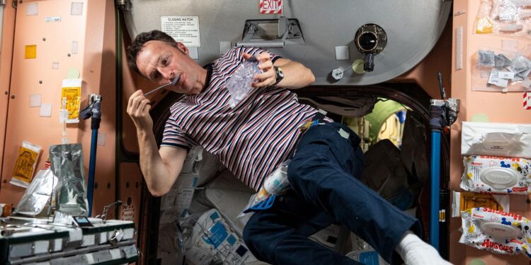 forschung-im-weltraum“:-ein-besseres-verstaendnis-fuer-krankheiten-erlangen“