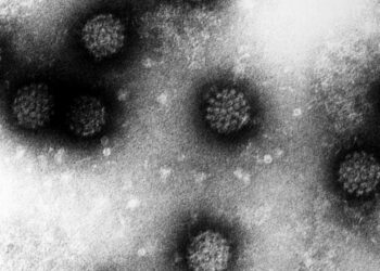 warum-eine-impfung-gegen-humane-papillomviren-sinnvoll-ist