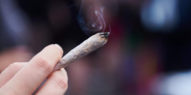 bundestagsentscheidung:-cannabis-wird-legal-–-was-sagt-die-wissenschaft?