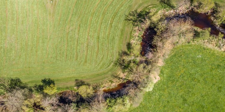 pestizide-in-baechen-gefaehrden-artenvielfalt