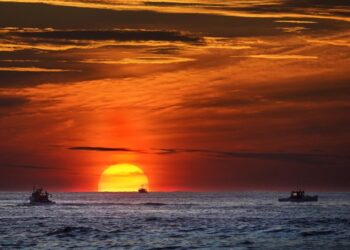 rekordhitze-in-den-weltmeeren