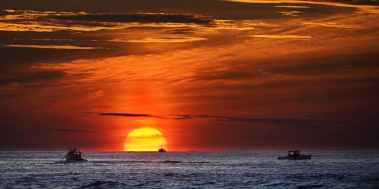 rekordhitze-in-den-weltmeeren