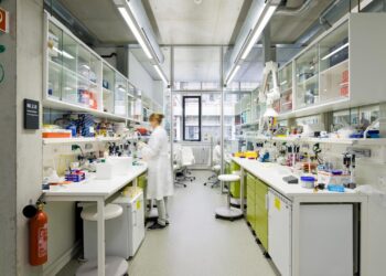 car-t-zellen:-„eine-neue-epoche-in-der-onkologie“