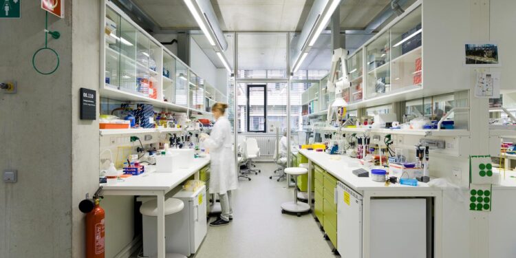 car-t-zellen:-„eine-neue-epoche-in-der-onkologie“