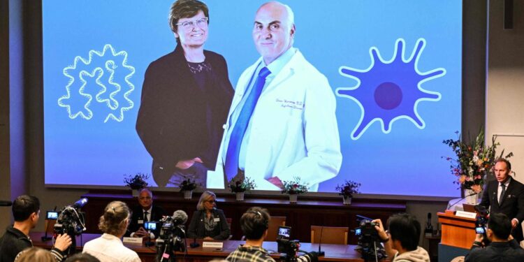 nobelpreis-in-medizin:-auszeichnung-fuer-pioniere-der-mrna-forschung