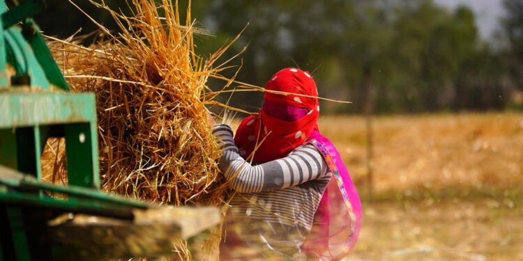 studie-zu-erderwaermung:-die-„klima-nische“-wird-kleiner