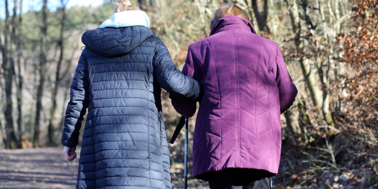 top-oekonomen-fordern-in-aufruf-stopp-des-rentenpakets