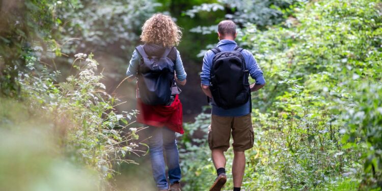 analyse-zur-bewegung-im-alltag:-4.000-schritte-am-tag-reichen-aus