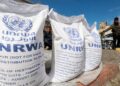 unrwa:-weiterarbeiten-–-und-auf-trumps-gaza-plan-hoffen