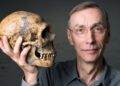wie-das-neandertaler-genom-entschluesselt-wurde