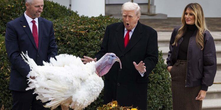 der-thanksgiving-effekt-fuer-zu-steigende-aktienkursen-an-der-boerse