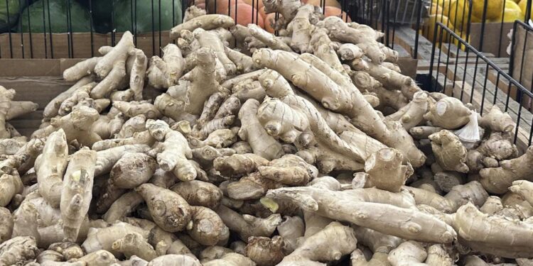 so-effektiv-sind-ingwershots-wirklich-fuer-das-immunsystem