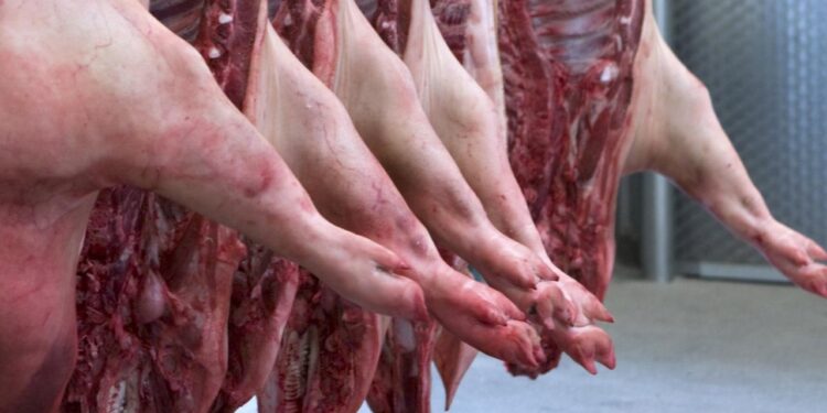 videoueberwachung-soll-in-schlachthoefen-pflicht-werden