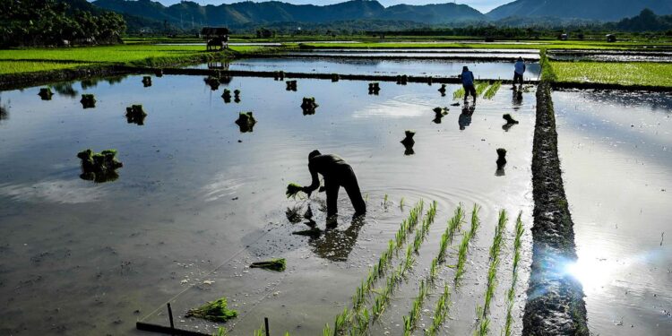 indonesiens-provinz-banda-aceh:-nach-dem-tsunami-kam-der-frieden