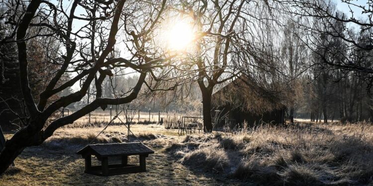 deutscher-wetterdienst-rechnet-mit-wintereinbruch-zum-jahreswechsel