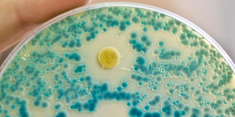 warnung-der-who:-immer-mehr-antibiotika-wirken-nicht-mehr