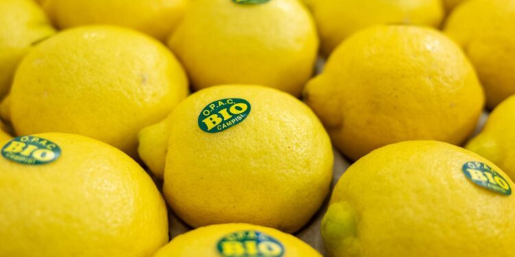 umsatz-mit-biolebensmitteln-2025-deutlich-gestiegen