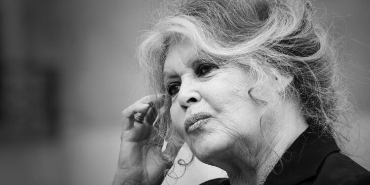 brigitte-bardot-im-alter-von-91-jahren-gestorben