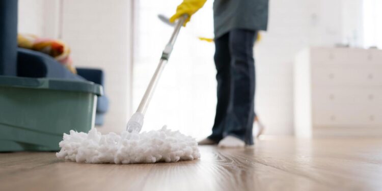 iw:-neun-von-zehn-haushaltshilfen-in-deutschland-nicht-angemeldet