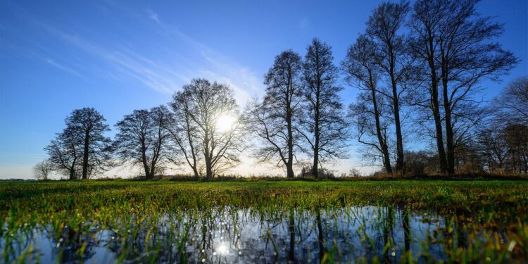 jahresbilanz-des-dwd:-viel-sonne,-wenig-regen,-kein-rekord