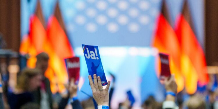 in-der-afd-raetseln-viele-ueber-skurrilen-eichwald-auftritt