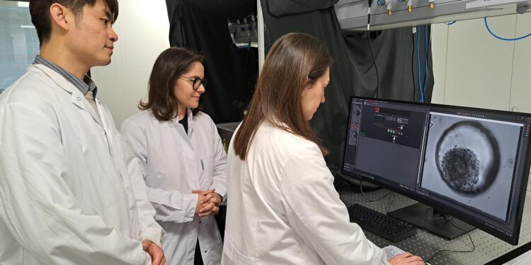 nano-roboter-verwandeln-stammzellen-in-knochenzellen