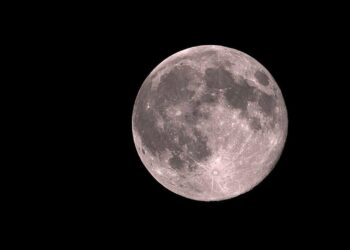 frachtlandefaehre-argonaut:-europas-weg-zum-mond