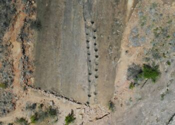 forscher-in-bolivien-finden-tausende-dino-fussabdruecke