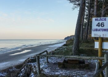 eu-genehmigt-staatshilfen-fuer-atomkraftwerk-in-polen