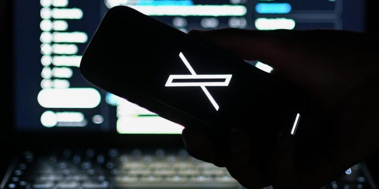 warum-bleibt-die-bundesregierung-auf-x?