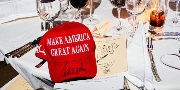 wer-sind-die-jungen-republikaner,-die-die-afd-feiern?