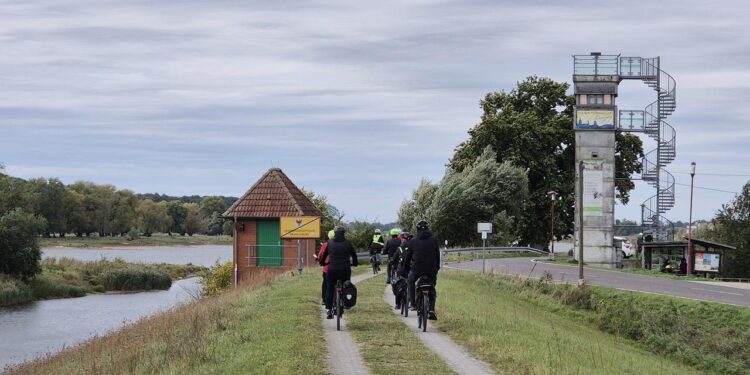ehemalige-innerdeutsche-grenze:-vom-todesstreifen-zum-naturparadies