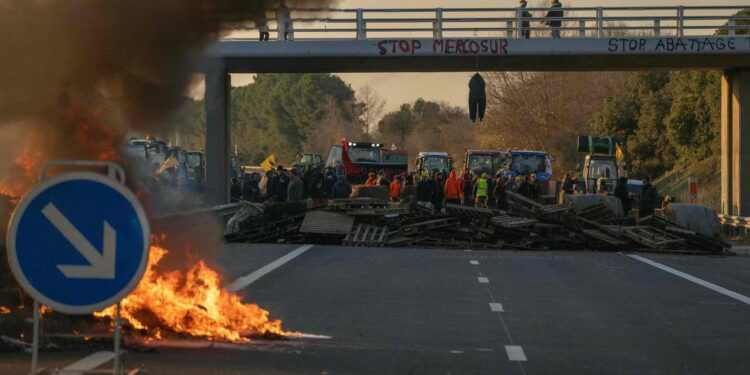 freihandelsabkommen-mercosur:-frankreich-stellt-sich-quer