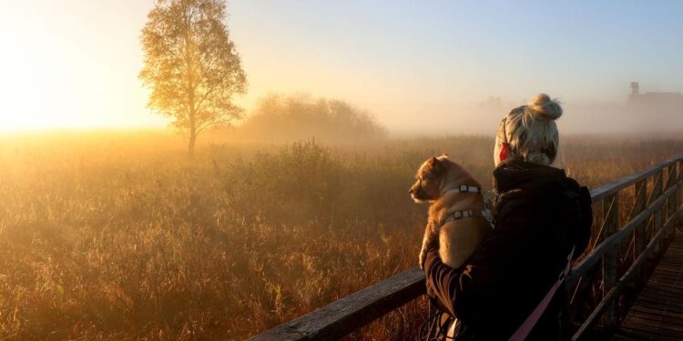 wie-sich-die-persoenlichkeit-entwickelt
