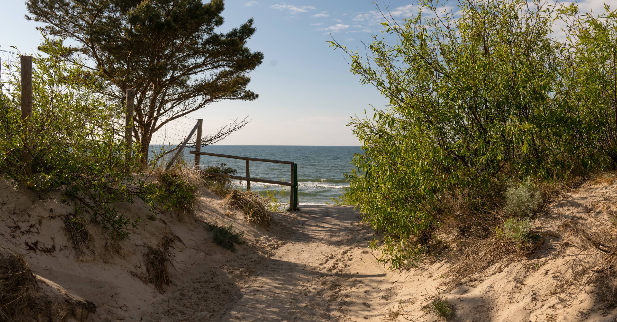 urlaub-an-der-ostsee:-usedoms-wilde-schwester