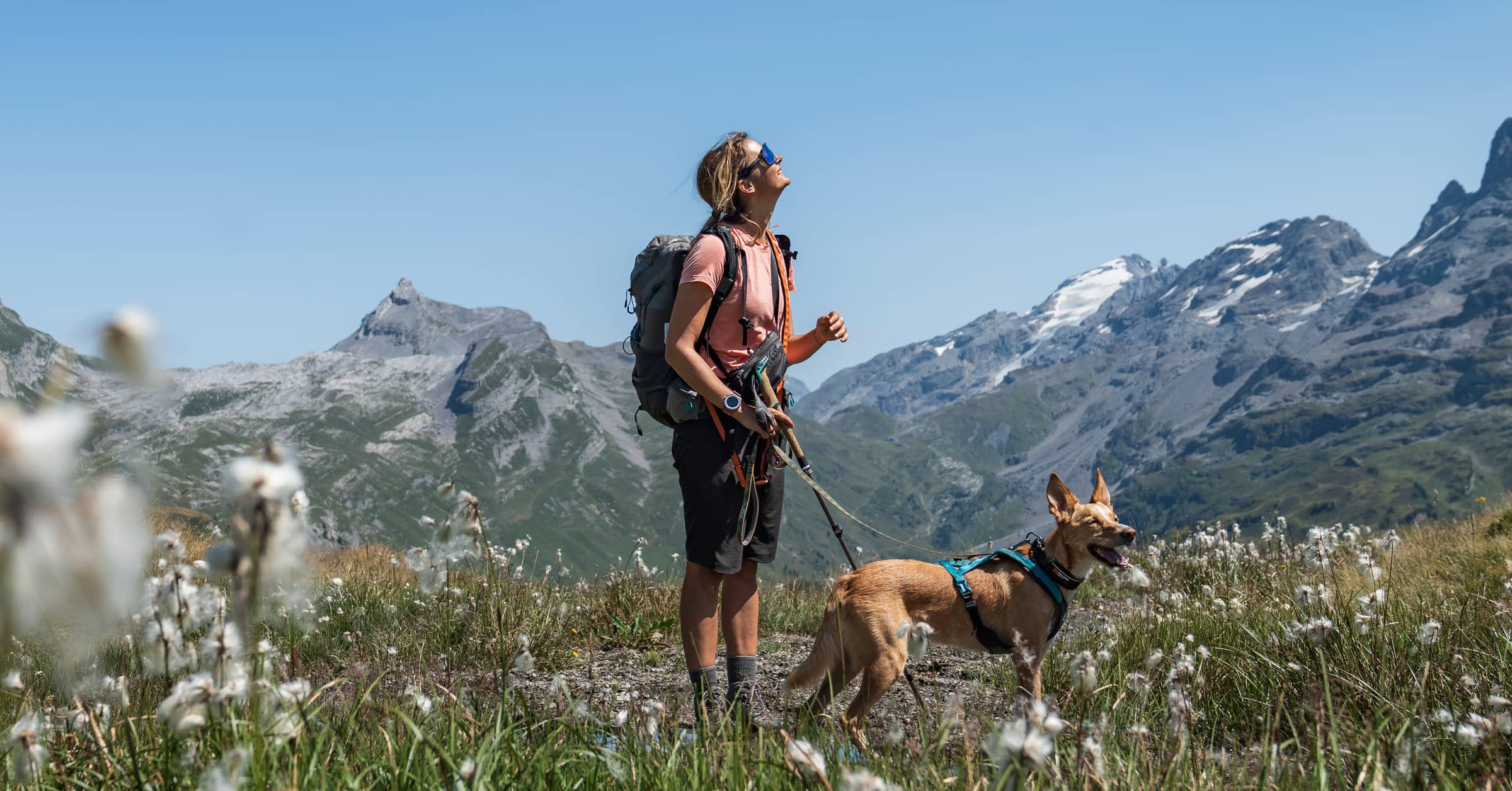 schweiz:-weitwandern-mit-hund