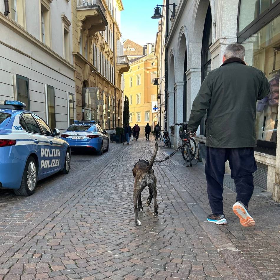 so-viel-kostet-es:-beliebte-urlaubsregion-verlangt-fuer-hunde-kuenftig-„kur-taxe“