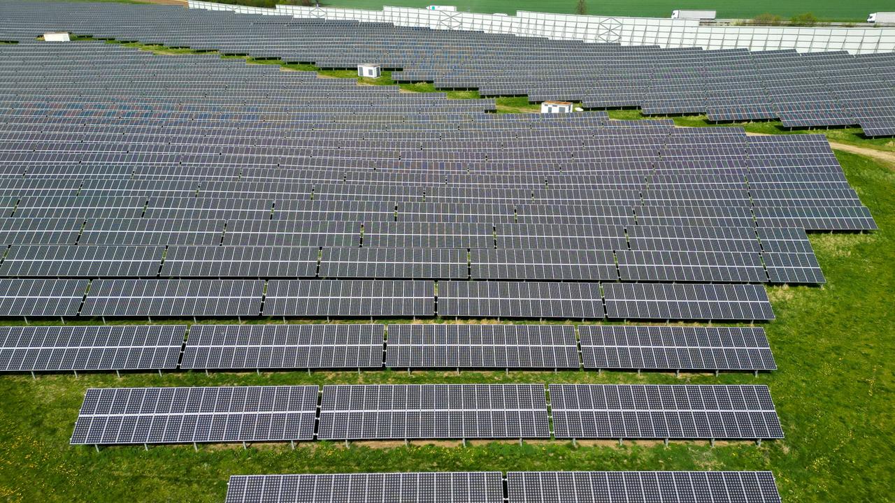 neue-studie:-solarparks-koennen-fuer-mehr-artenvielfalt-sorgen