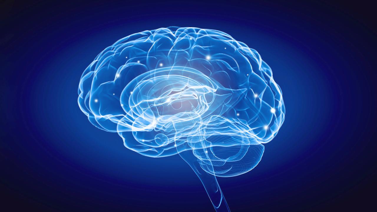 brain-prize:-wichtiger-forschungspreis-fuer-heidelberger-neurologen