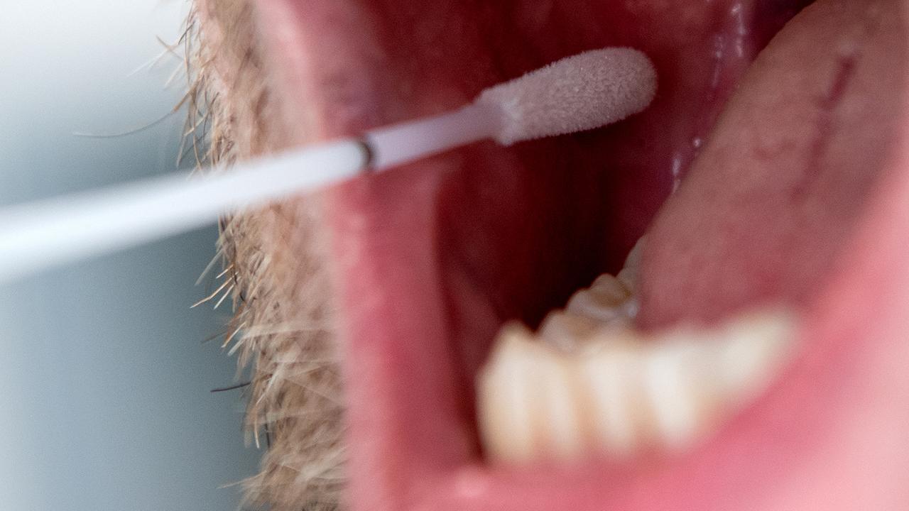 auf-verwandtschaftssuche-per-dna-test