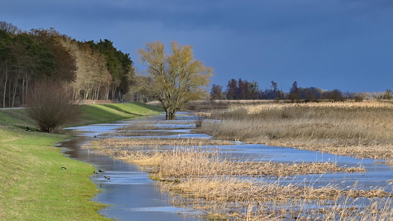 wie-kann-hochwasserschutz-in-deutschland-gelingen?