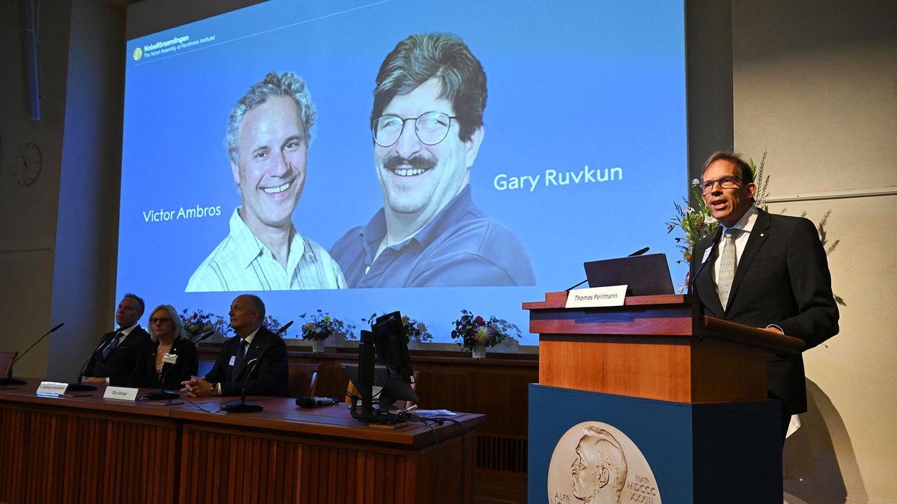 medizin-nobelpreis-geht-an-microrna-entdecker-ambros-und-ruvkun